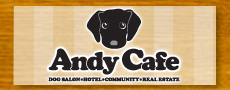 Andy cafe web site